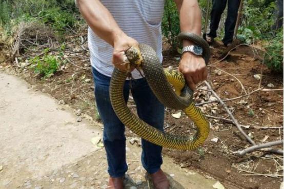 河南，千年古都新时代风采解读