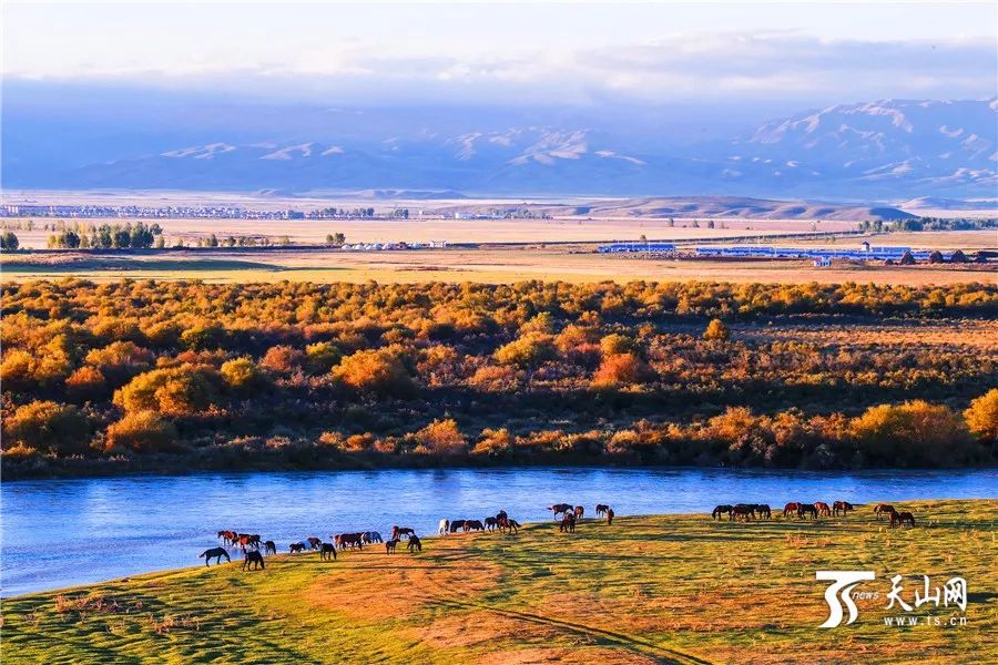 探寻新疆魅力，走进神秘大美新疆特别节目